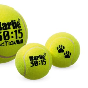 Koiran lelu iso tennispallo