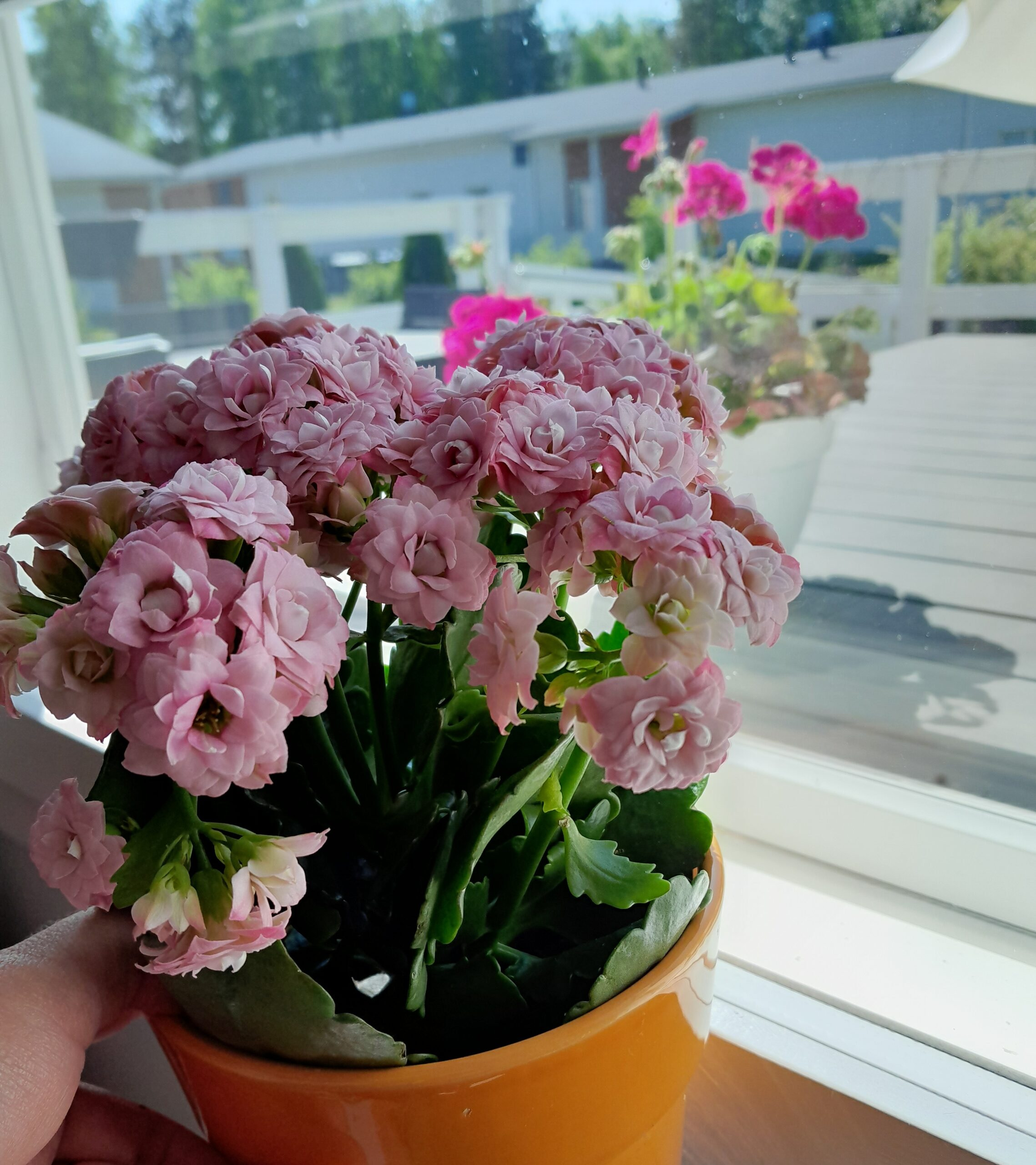 Kesäjuhla tunnelmia