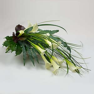 Arkkulaite kalla