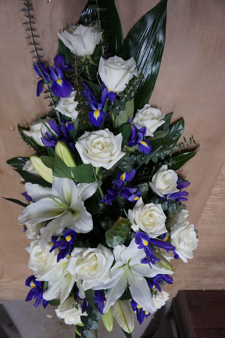 Hautavihko Iris
