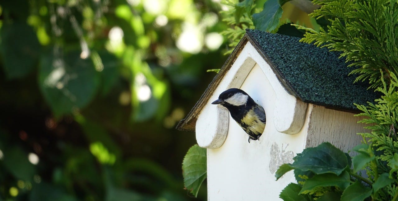 Esperi Hoitokoti Linnunpesä, Riihimäki