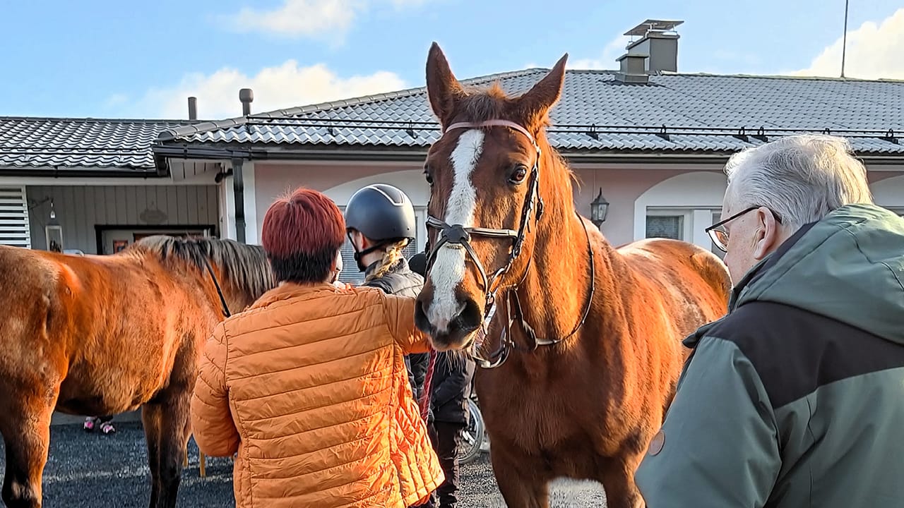 Esperi Hoivakoti Katariinan laskiaisrieha, asukkaita ja vieraita hevosen ympärillä
