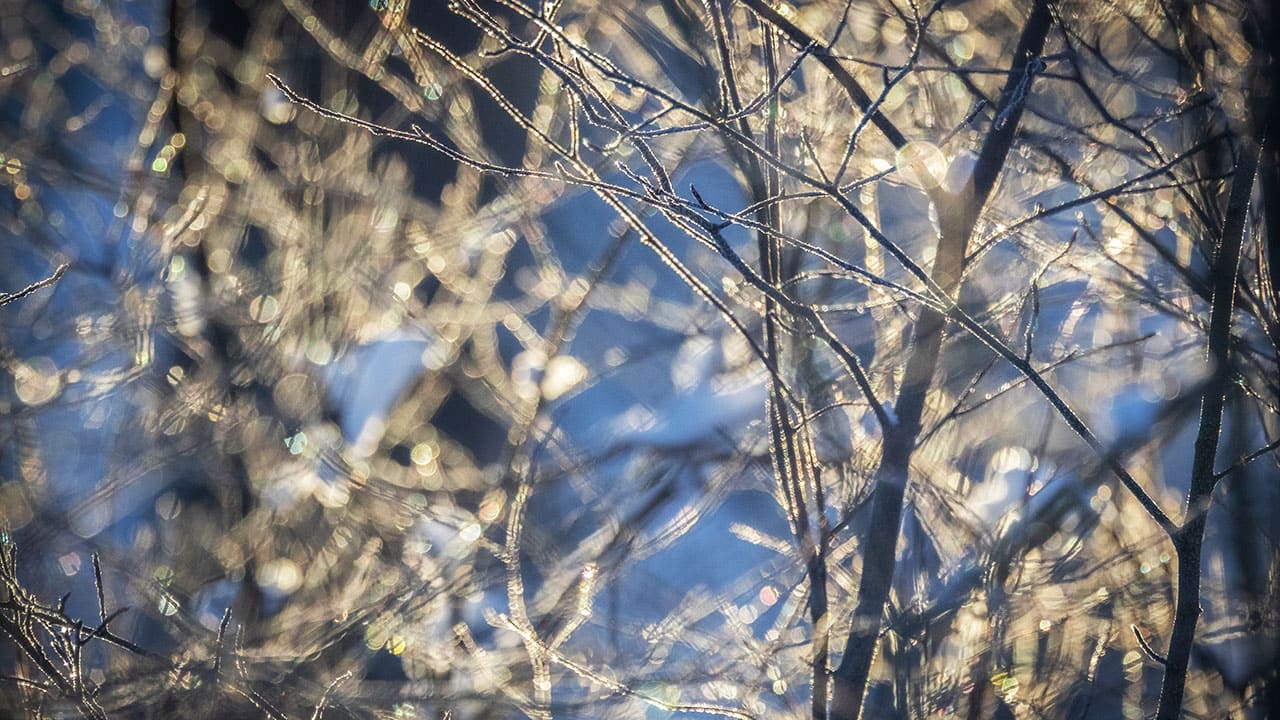 On yhteiskunnan etu, että viranomaisten ohjeita noudatetaan