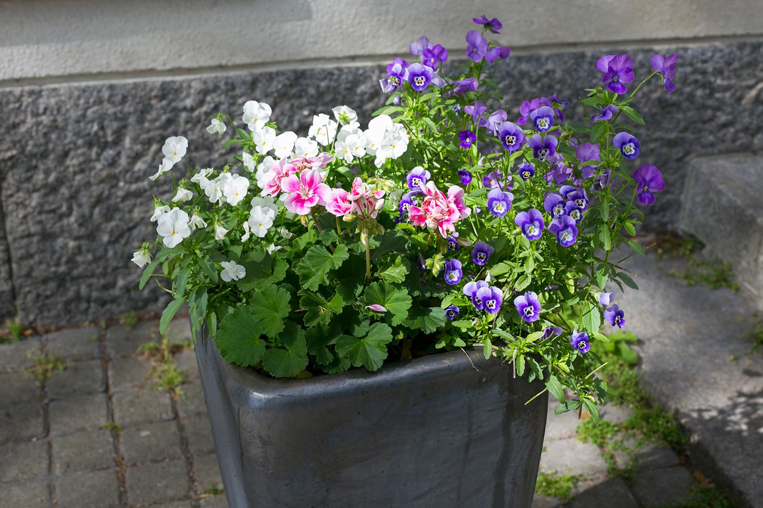 Esperi Hoitokoti Maininki, Vaasa