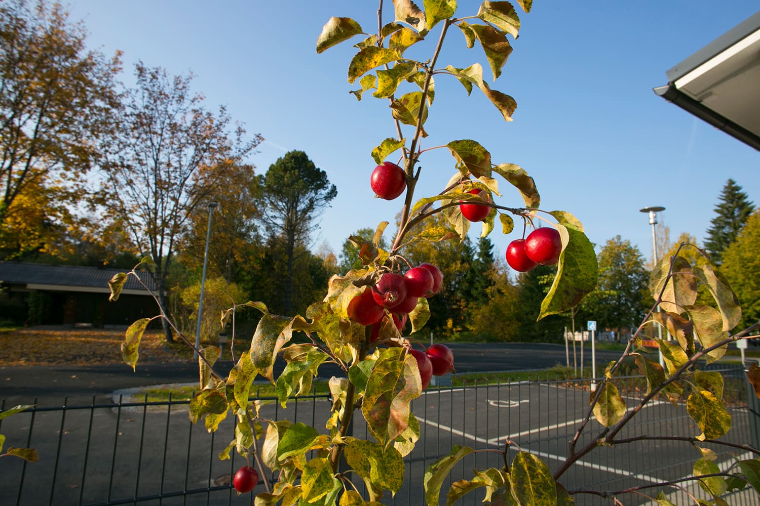 Esperi Hoivakoti Jaatilanranta, Jämsä
