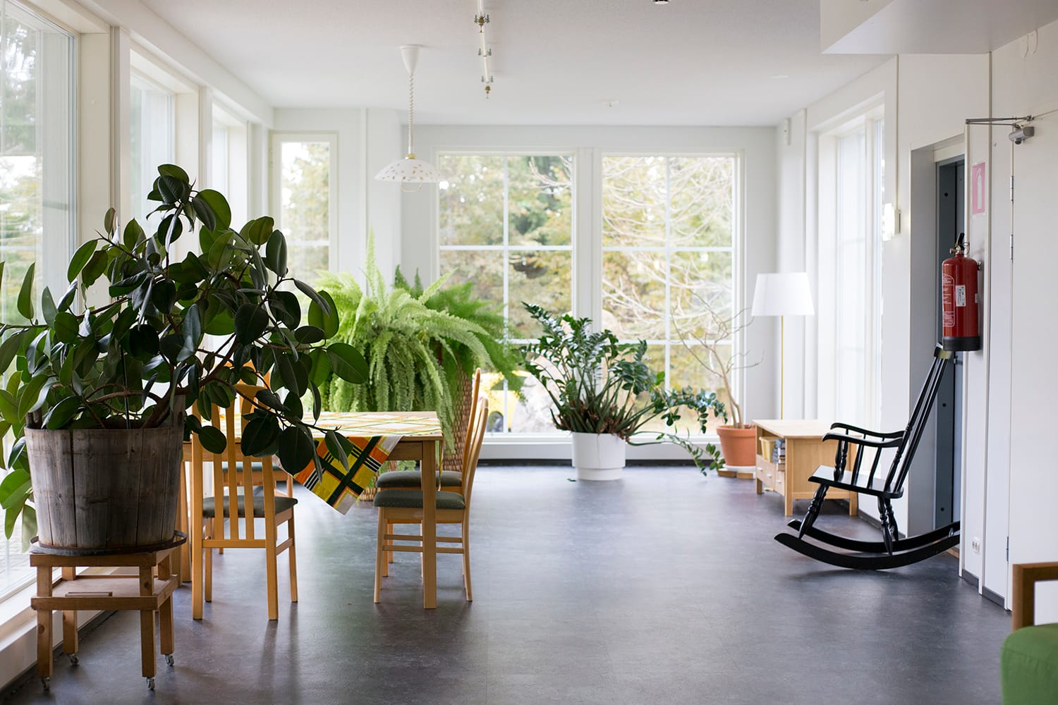 Esperi Hoivakoti Saarni, Lammi