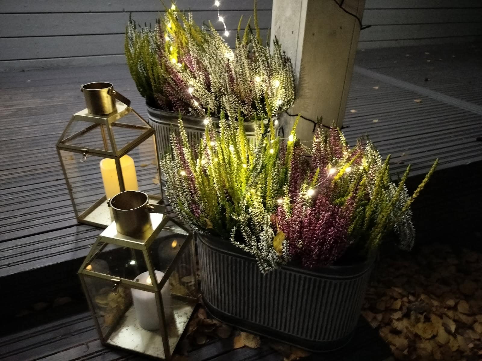 Onni kasvaa yhteisössä