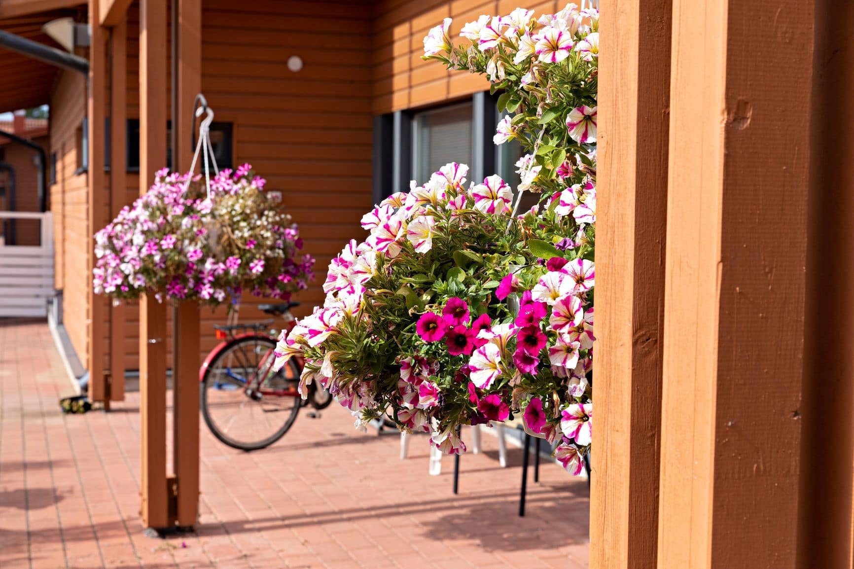 Esperi Hoivakoti Alma, Oulu