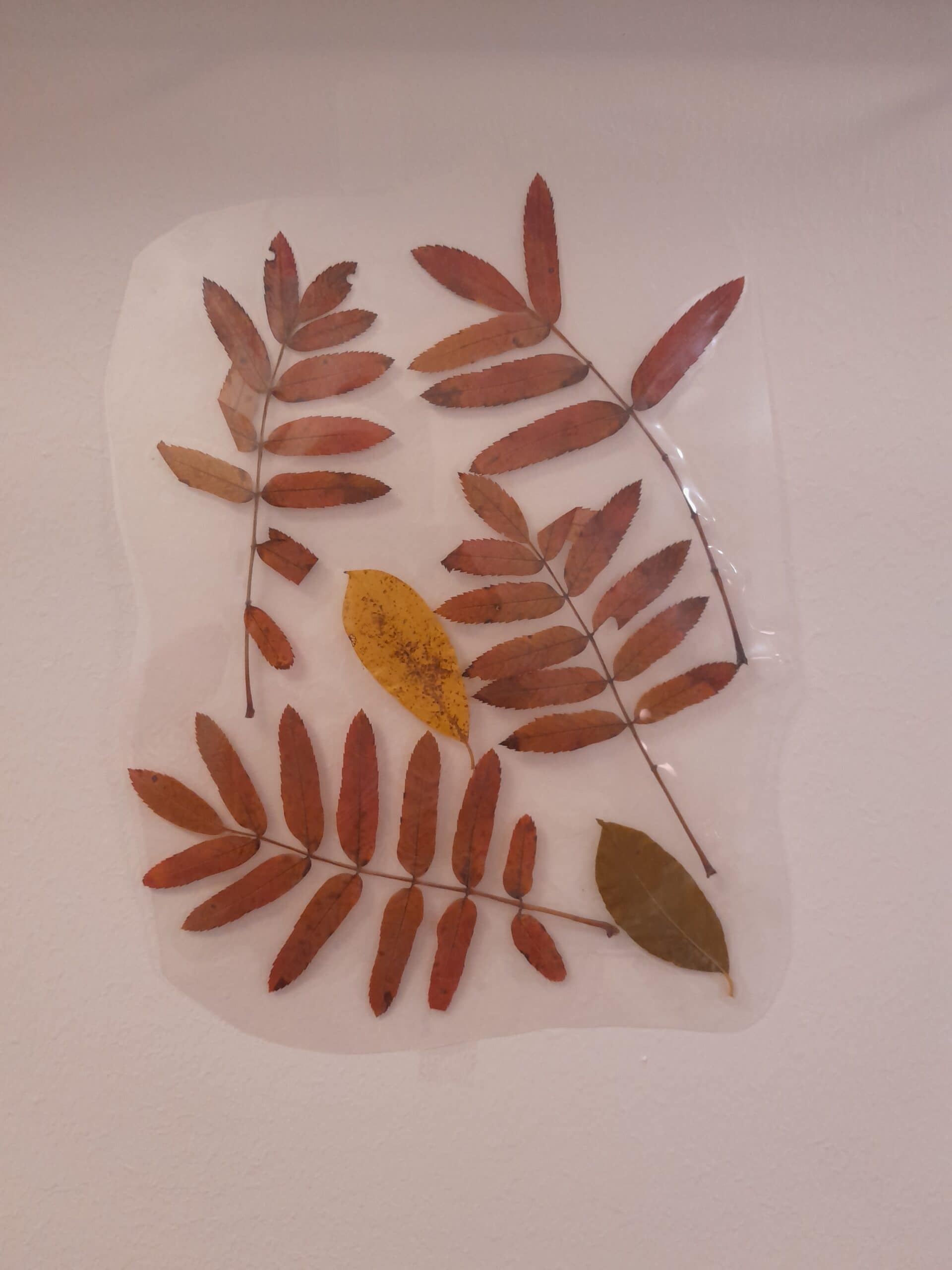 Puuhastelua ja ulkoilua