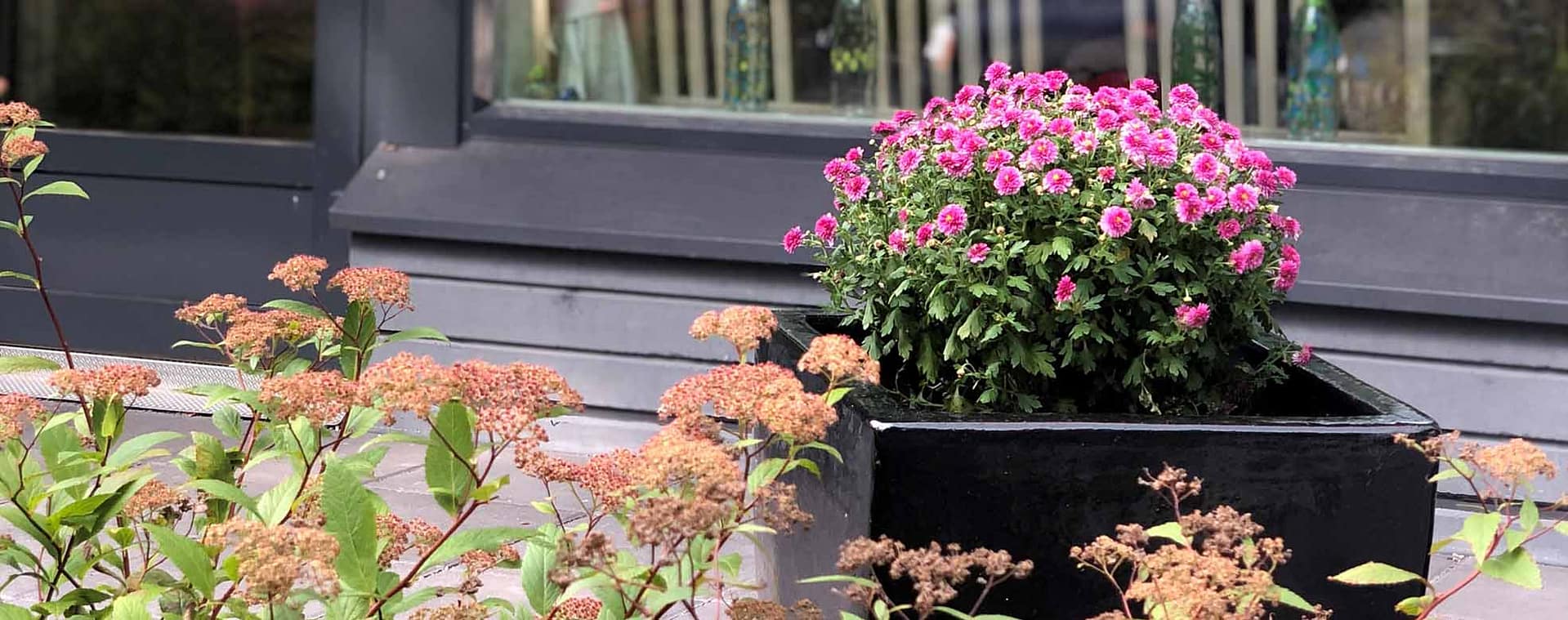 Esperi Päivätoiminta­keskus Hoivaonni, Helsinki