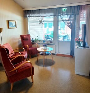 Huone, jossa on kaksi nojatuolia, TV ja muuta sisustustavaraa valoisan ikkunan edustalla.