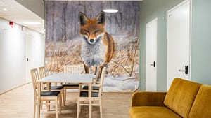 Huone, jossa huonekaluja ja seinällä suuri kettujuliste.