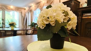 Pyöreä pöytä, jolla valkoinen hortensia-asetelma.