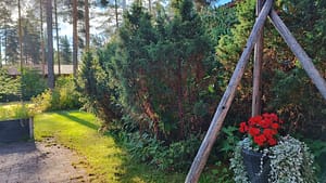 Hoivakodin puutarha, jossa kukkaistutuksia ja puinen köynnösteline.