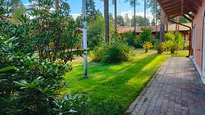Hoivakodin puutarha, jossa hoidettu nurmikko ja katettu kulkuväylä.