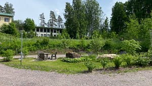 Vehreä piha-alue