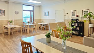 Valoisa ruokailu- ja oleskelutila viherkasveineen
