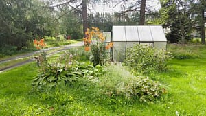 Puutarhaa ja kasvihuone