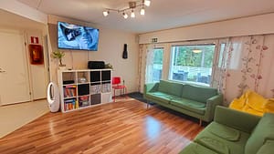 Olohuone, jossa vihreä sohva ja televisio ikkunan ääressä.