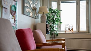Nojatuoleja ja viherkasvi ikkunan edustalla.