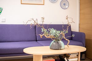 Sohva ja sohvapöytä, jossa kukka-asetelma.