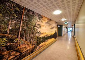 Metseseinämä hoivakodissa.