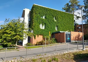 Hoivakodin vehreä julkisivu.