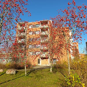 Kuva hoitokodin julkisivusta vehreässä, syksyisessä ympäristössä.