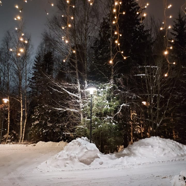 Talvi tuli Jänismäkeen