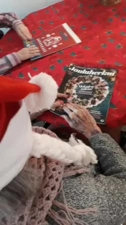 Ennen juhlan alkua kerkeää lukea joululehtiä.