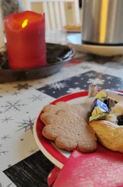 Esperikoti Linnunpesä Riihimäki joulu