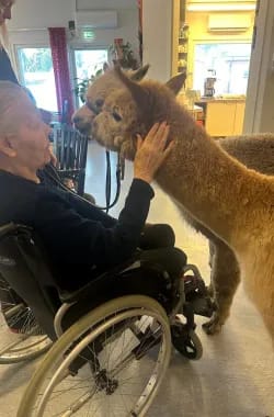 Voi kun ovat söpöjä.