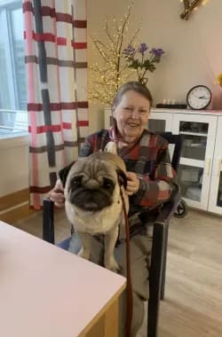 Kaverikoirat piipahtivat