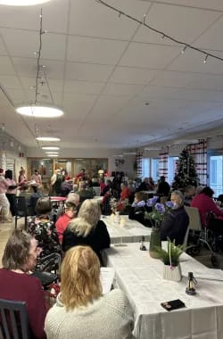 Daalian pikkujouluiset