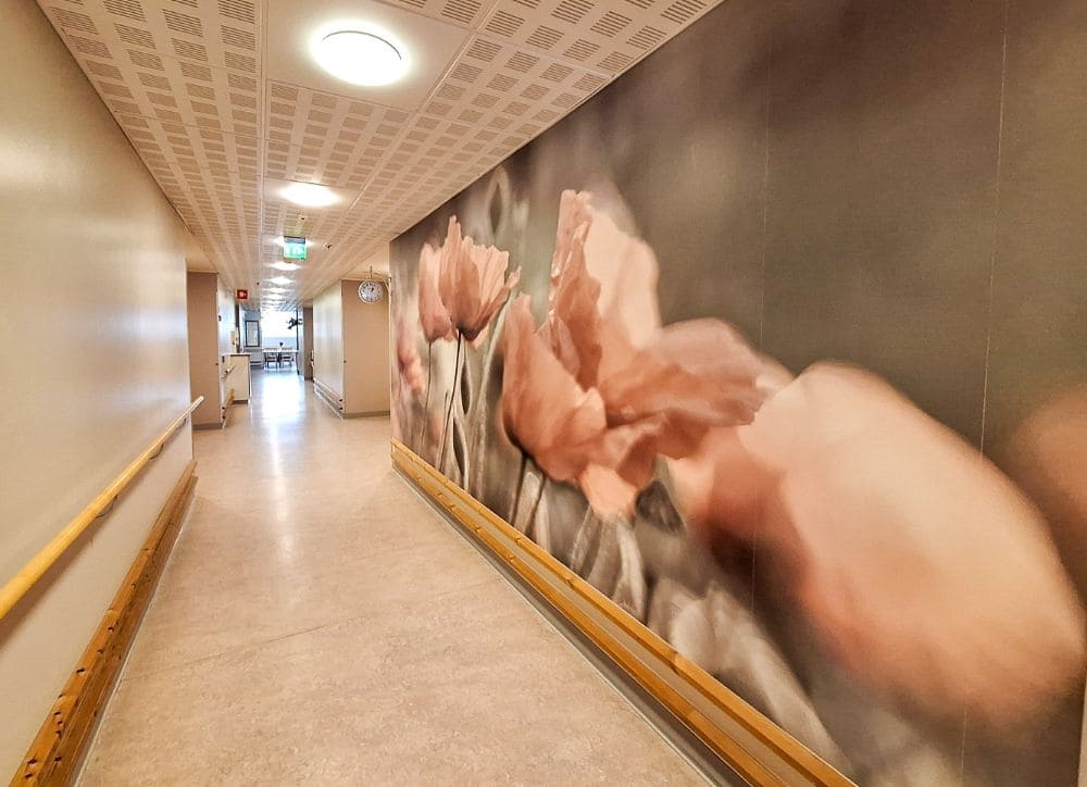 Annabellen kukkainen seinä.