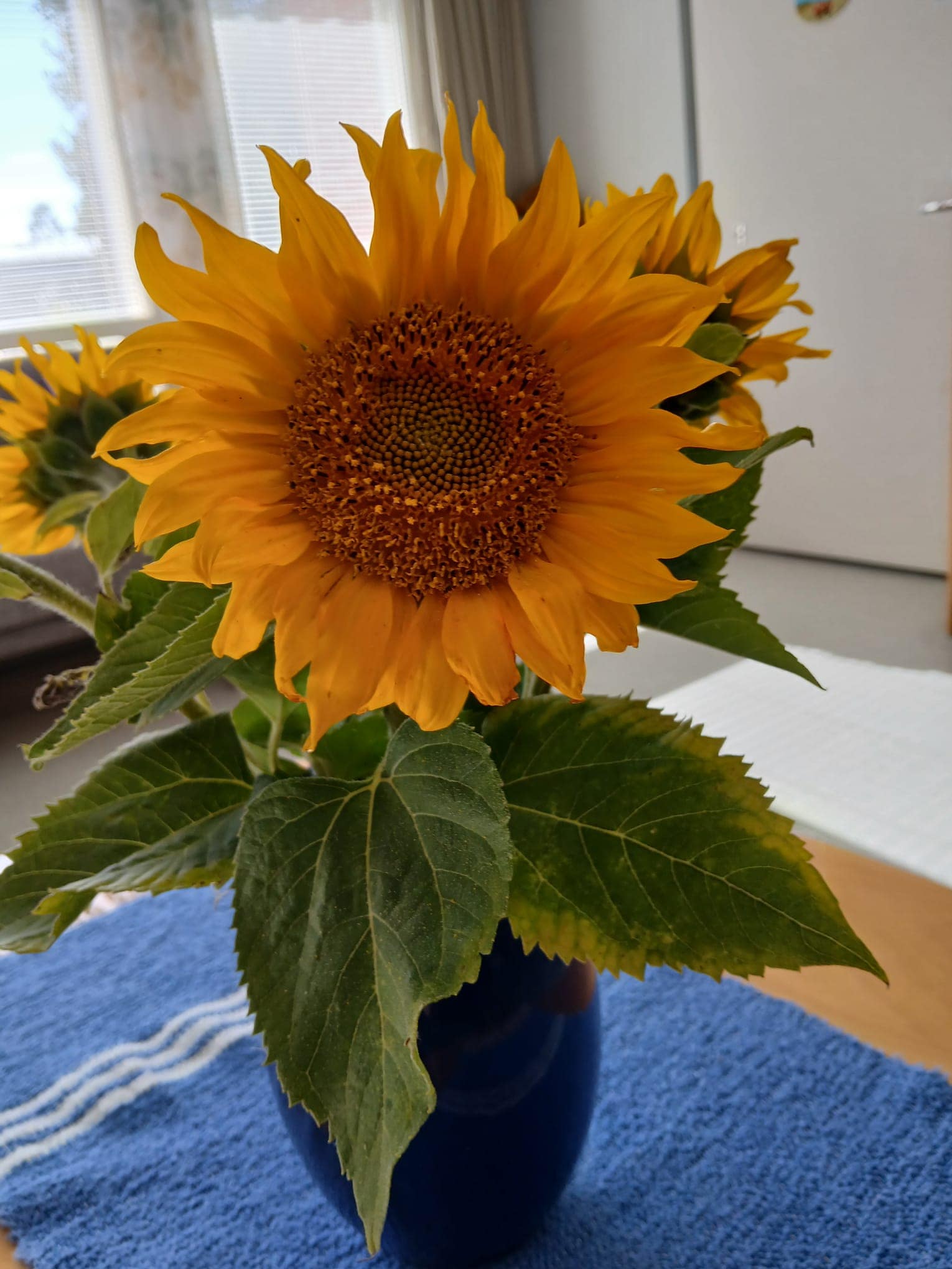 Syksy on täällä!