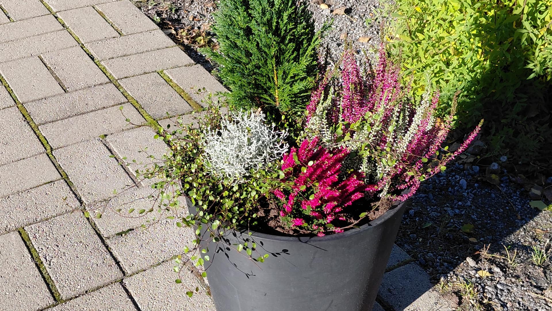 Esperi Hoitokoti Ulpukka, Vaasa