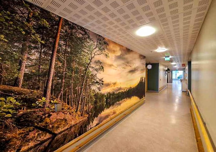 Metsäseinämä hoivakodissa.
