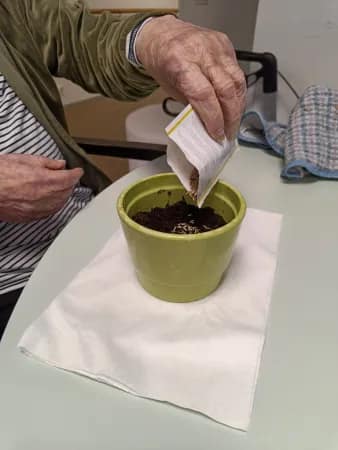 Siemeniä purkkiin.