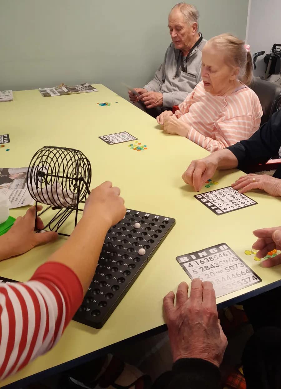bingo