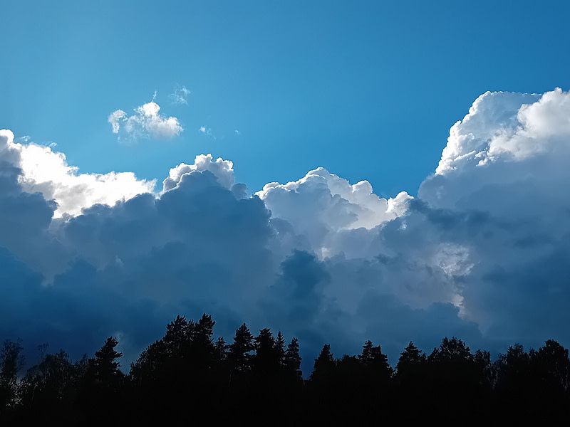 Maisemakuvassa metsä ja kauniit pilvet