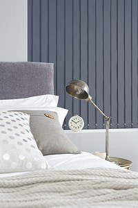 Carnival Breton Blue