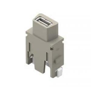 USB, MODUULI NAARAS
