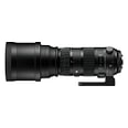 SIGMA 150 600mm F5 6.3 DG OS HSM | S Horizontal Hood With Tripod Socket