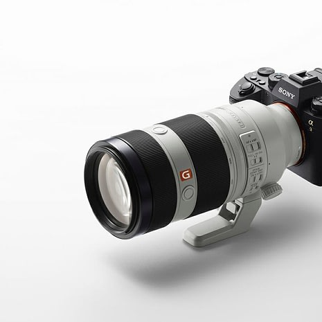 sony 100-400mm zoom sony 100-400mm zoom