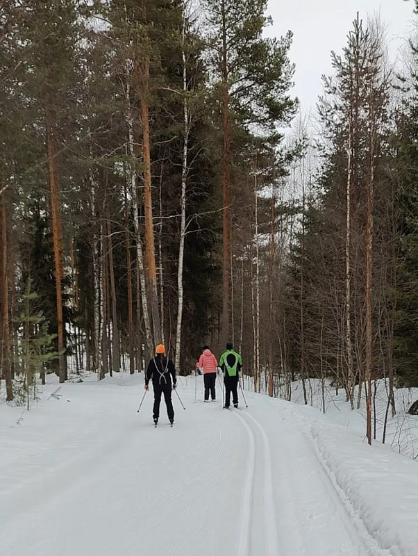 Hiihtokelit parhaimmillaan! Lomaviikon vk 10 kuulumiset.