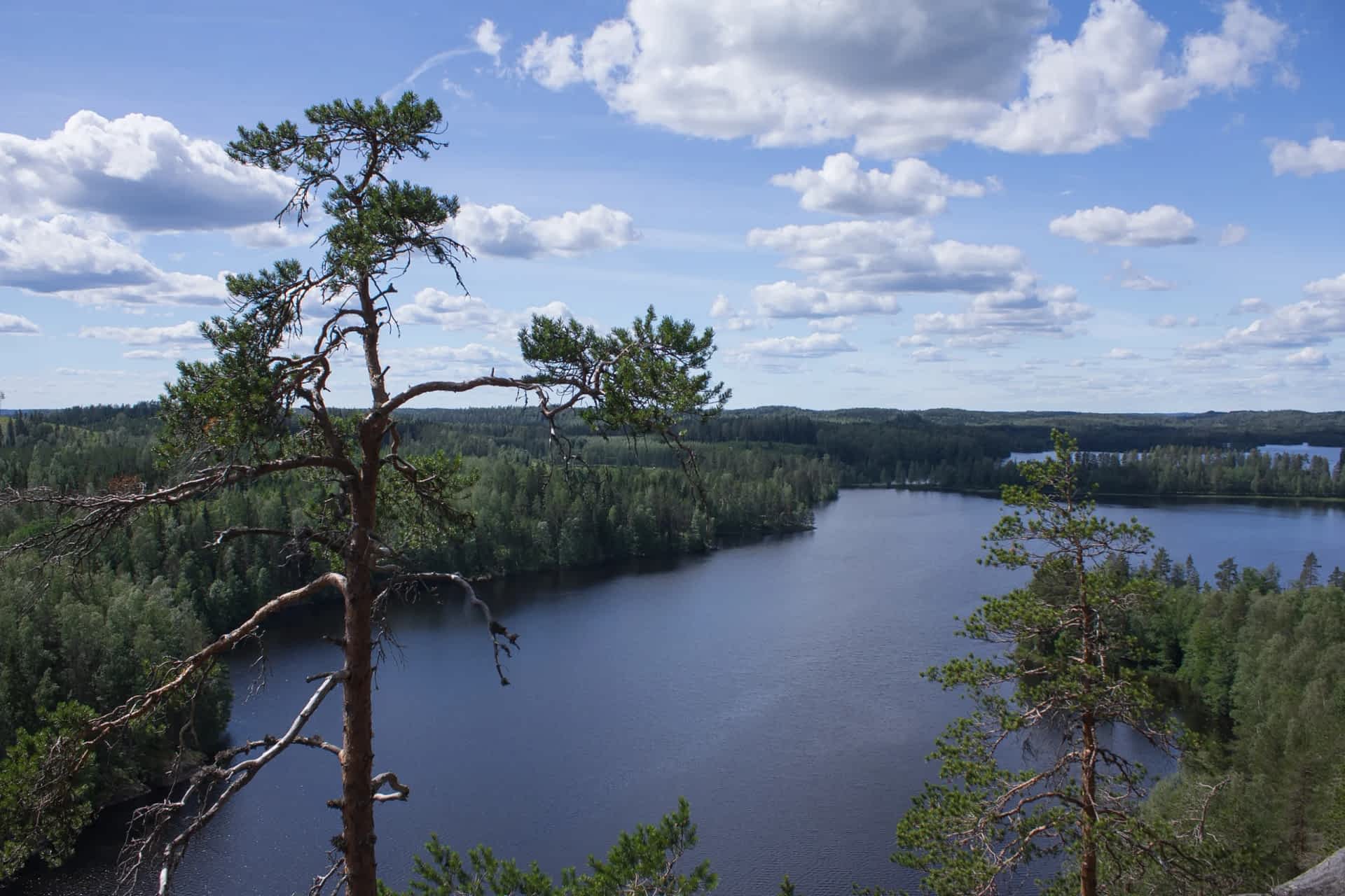 Ympäristöjärjestelmätyö osana jatkuvaa kehittymistä