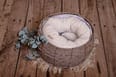 Newborn Photography - Ringpillow + 3 pillows set