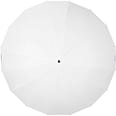 Profoto Umbrella Deep Translucent M (105cm/41")