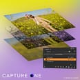 CAPTURE ONE 23 PRODUCT 3